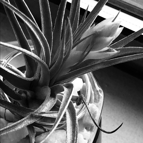 A settling thought 💭 - Picture 1 of 3